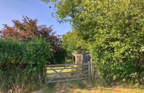 Romney Wagon - Foto 18