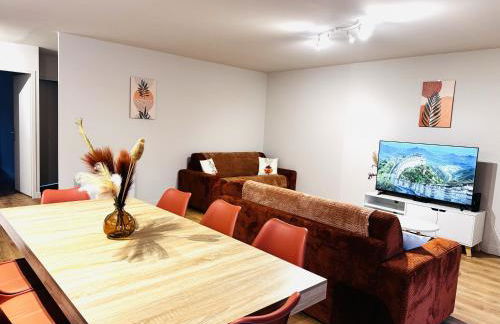 Le Terracotta cocon moderne à 2 pas de la Gare ligne directe GENÈVE-LYON-PARIS - Foto 3