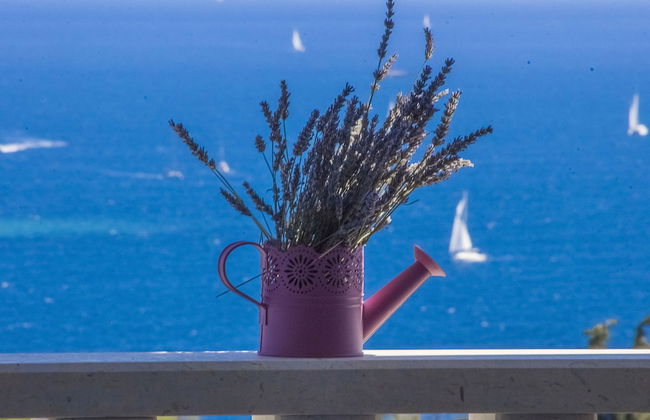 Villa Tramonto - Photo 45