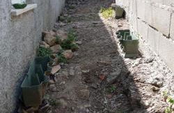 Casa do Meio - Foto 8