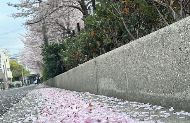 Tabi Time Kishinosato Miyama - Photo 35