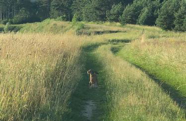 Mazurski dom Brejdyny Sauna i Bania - Foto 37