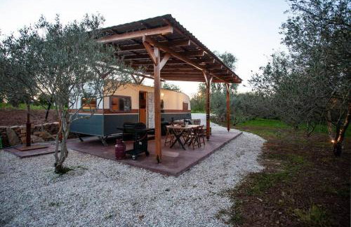 Onar Camper - Photo 20