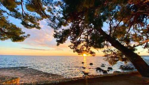 Aurelis Apartments - Foto 5