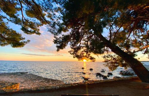 Aurelis Apartments - Photo 5