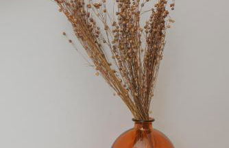 Nera Apartments - Foto 30