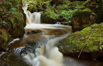 Ferienwohnung Kraftquelle im Wohnpark SchwarzwaldBlick, Bernau - Foto 18
