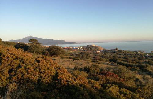 Apollon Resort - Foto 64