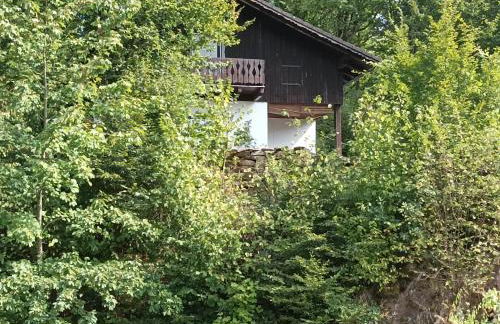 Burgberg Schöllnstein - Foto 28