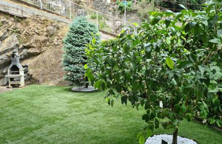 Colonno Panoramica Lago Di Como - Foto 67