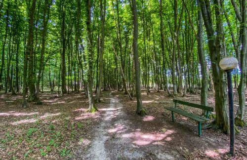 Moslavačka Priča Holiday Homes - Foto 28