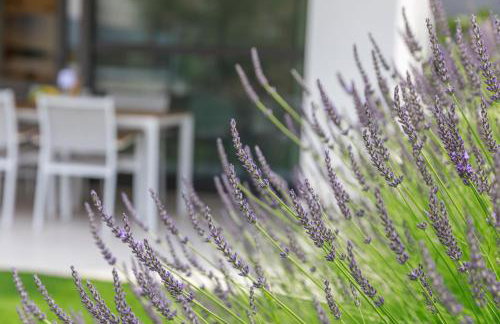 Apartment Vengust - Foto 25