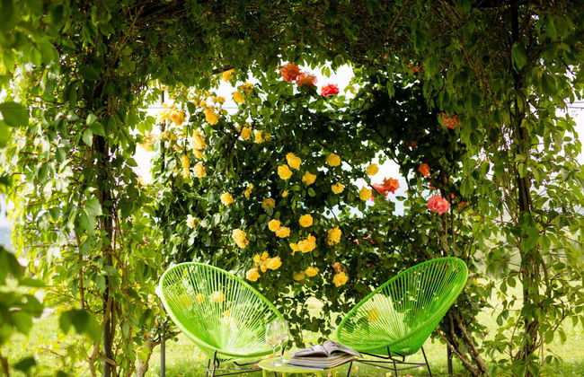 Tenuta Torre Rossa Farm & Apartments - Foto 78