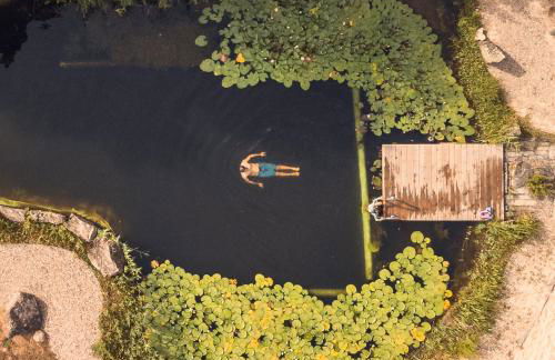 Casa das Palmeiras - Pedagogic Farm - Foto 30