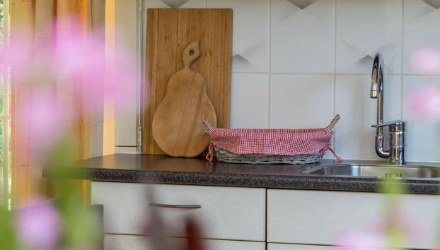 Apartment in Vrouwenpolder Near the Dunes - Foto 3, Cocina privada