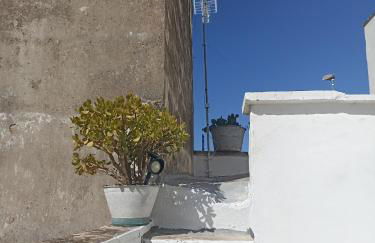 Fichi d india - Foto 28