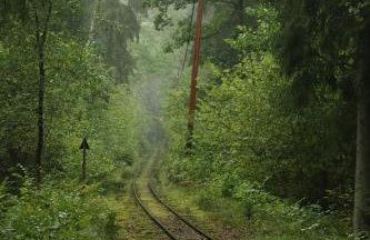 Dalej Nie Idę - dom nad Czarną Hańczą - Foto 8