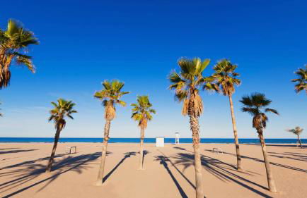 Apartamento PARADISE Solo Familias - Photo 65