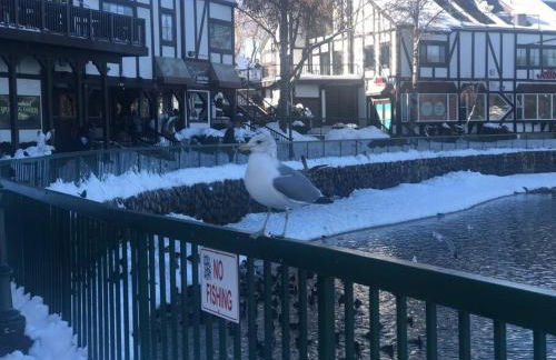 Lake house Cabin - Lake Arrowhead - Photo 14