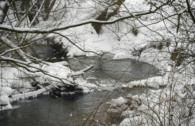 Wohnung im Teutoburger Wald Externsteine - Foto 30