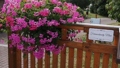 Ferienwohnung Moni - Foto 2, Garden view