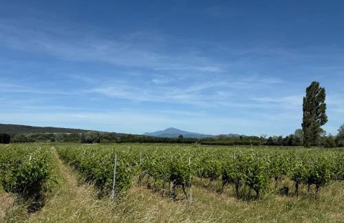 Gîte Juno - Photo 18