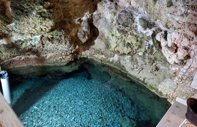 Tour del cacao y el café - Foto 3