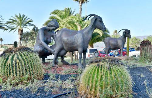 Suite Orquídea - Photo 30