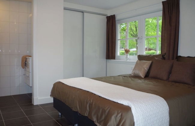 Luxury Villa in the Achterhoek - Photo 3