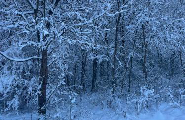 Domek w górach, noclegi w górach , Przystanek Stodoła , nocleg Beskidy , Velo Soła, balia ogrodowa, Rajcza, Rycerka - Foto 28
