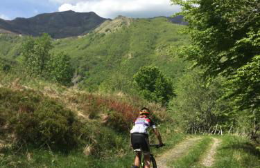 Ecoday camping - Foto 41