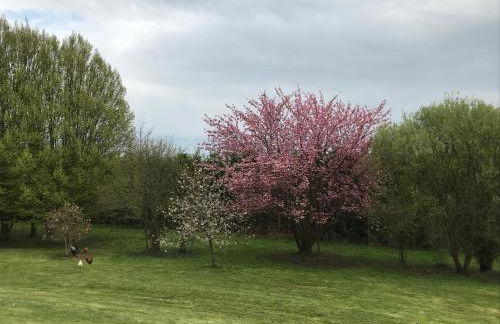Le pain perdu de germaine - Photo 7