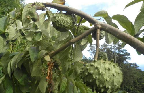 Villa Luz - Family House Vacations- Large Private Outdoor Area - Foto 40