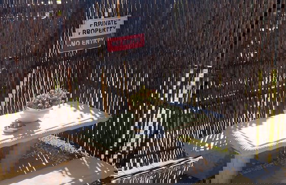 298 On 34th - Foto 5