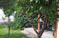 Fyllenia Country Home, Aridaia, Pozar Baths - Foto 45