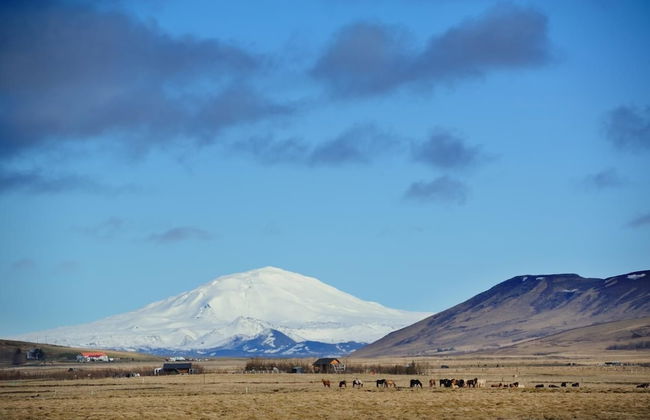 Volcano apartments - In a rural location - Foto 17