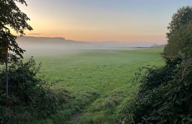 Wooden House in Plate Near Lake Schwerin - Foto 26