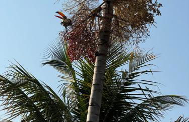 Linda Chácara com Piscina em Piracicaba - Foto 40