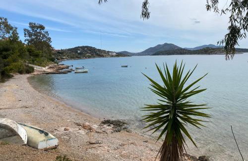 Three islands - Foto 3