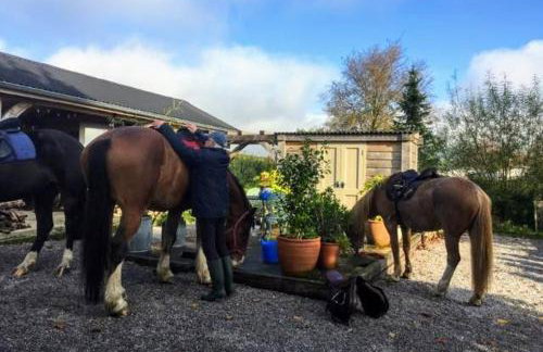The Barn at Star Chamber Farm - Photo 33