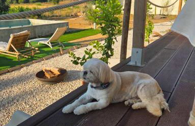 Maçussa Country House - Foto 11