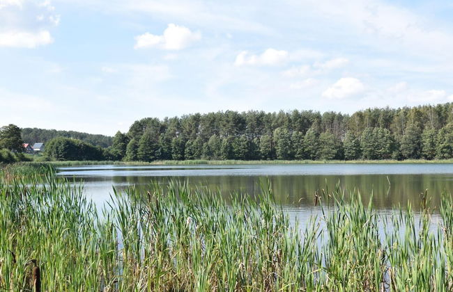 Holiday Home, Niesiolowice - Foto 11