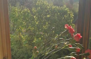 Parisowka w Wielkim Lesie - Foto 6