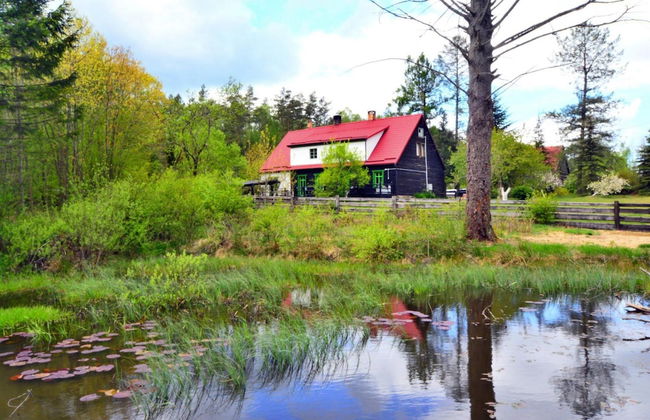 Comfortable Holiday Home in the Middle of a Forest - Photo 34