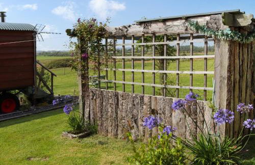 Glan Tywyn Shepherds Hut - Foto 11