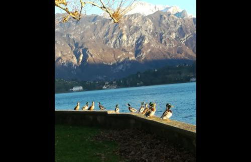 il nido nella quiete - Foto 62