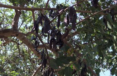 Agriturismo Il Melograno - Foto 40