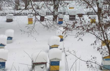 Dom "Honorat", Kamianna 70, 33-336 - Photo 4