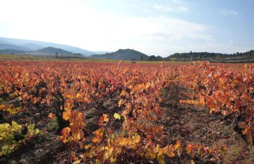 Château Villemagne - Foto 17