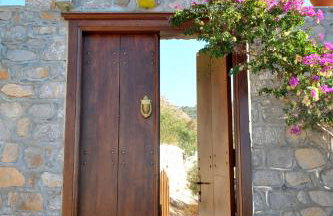 Hydra Erato - Foto 9